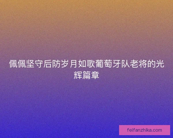 佩佩坚守后防岁月如歌葡萄牙队老将的光辉篇章